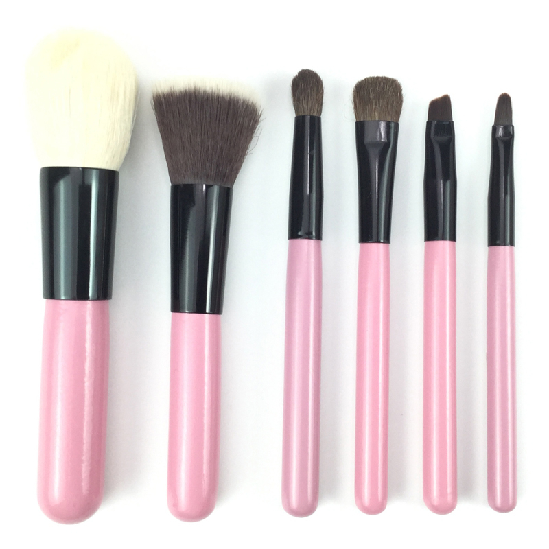 Tragbares rosa 6-teiliges Make-up-Pinsel-Set